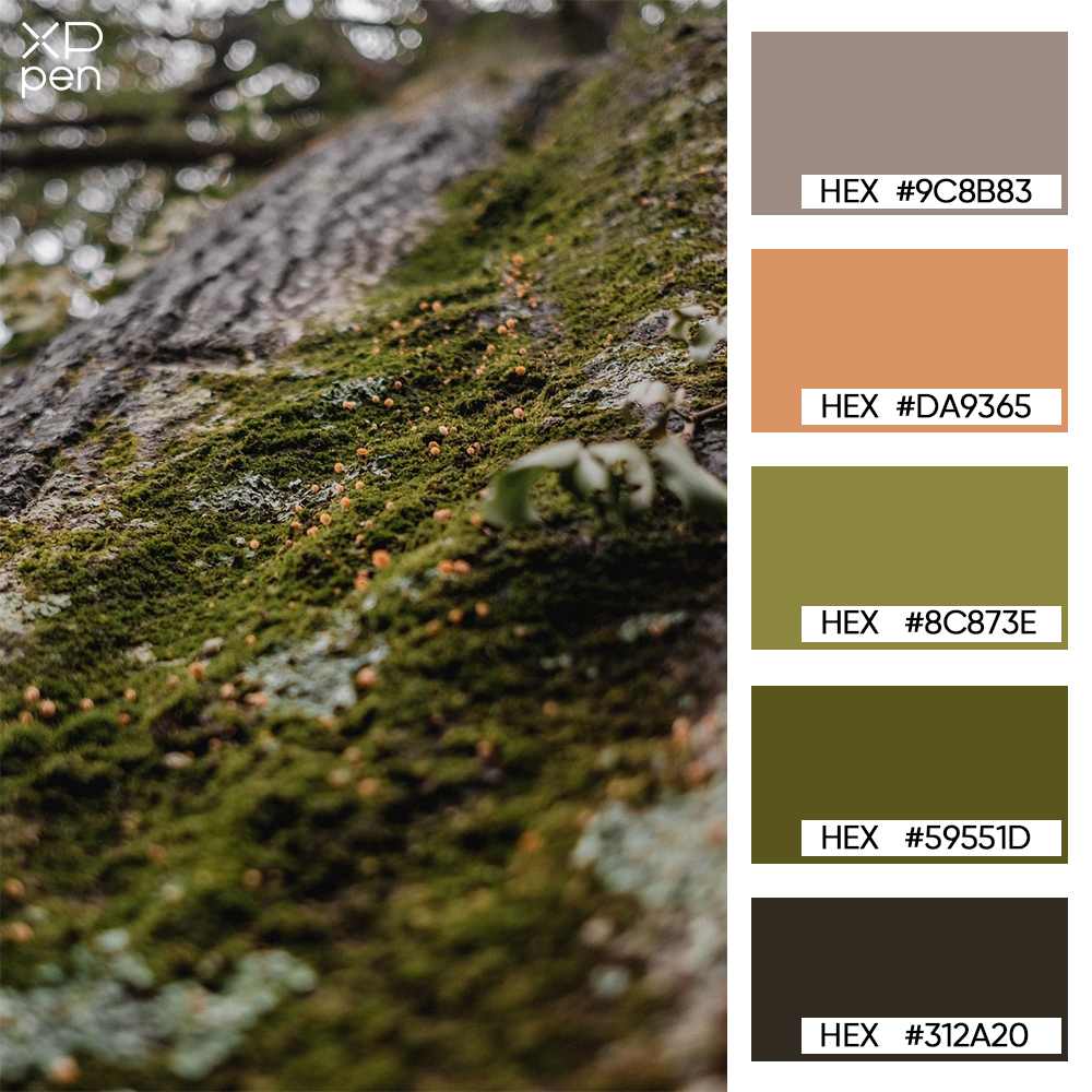 mossy green forest palette mossy green forest palette